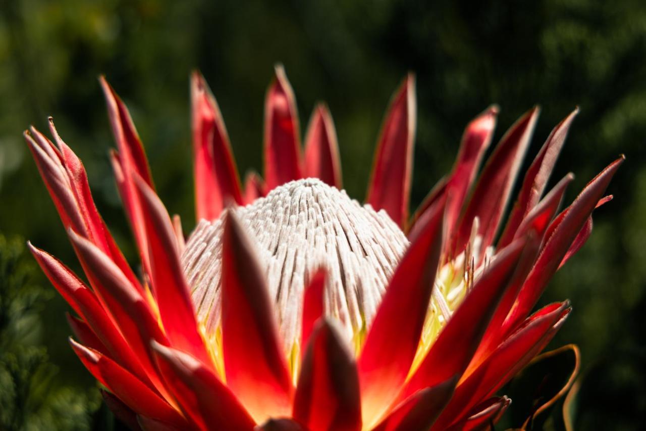Highlandsview Villa Swellendam Eksteriør bilde